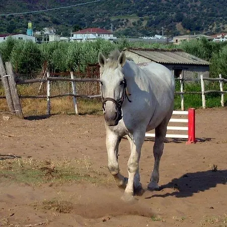 度假村 Corte Dei Greci & 4*