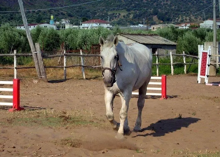 אתר נופש Corte Dei Greci & 4*